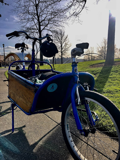 Cargo bike on a sidewalk next to grass, in a park, with sun shining in the background