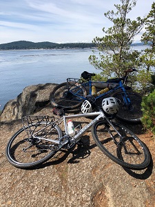 Two bikes on their sides on a rock, overlooking a sound with an island in the distance